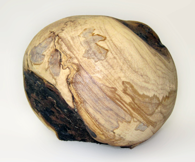 Twirl Like You Mean It – Oregon maple spalted with golden mango fungus (Scytalidium ganodermophthorum). By Seri Robinson.